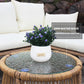 6-piece Outdoor Patio Set, Natural Wicker Frame with Beige Cushions and 2 Round Tempered Glass Table